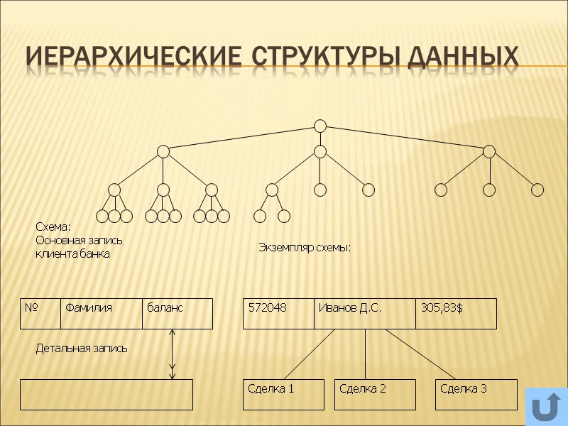 Иерархические структуры данных